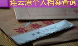 连云港个人档案查询