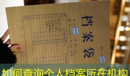 如何查询个人档案所在机构