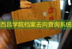 西昌学院档案去向查询系统