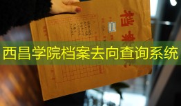 西昌学院档案去向查询系统