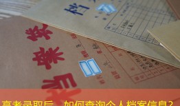 高考录取后，如何查询个人档案信息？