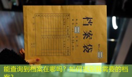 能查询到档案在哪吗？如何找到我需要的档案？