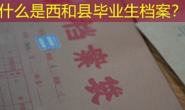 什么是西和县毕业生档案？