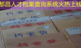 都昌人才档案查询系统火热上线