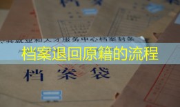 档案退回原籍的流程
