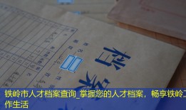 铁岭市人才档案查询_掌握您的人才档案，畅享铁岭工作生活
