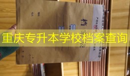 重庆专升本学校档案查询