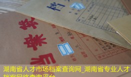 湖南省人才市场档案查询网_湖南省专业人才档案网络查询平台