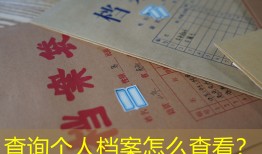 查询个人档案怎么查看？