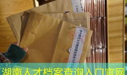 湖南人才档案查询入口官网