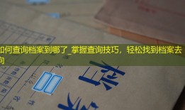 如何查询档案到哪了_掌握查询技巧，轻松找到档案去向