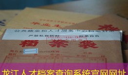 龙江人才档案查询系统官网网址
