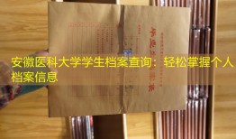 安徽医科大学学生档案查询：轻松掌握个人档案信息