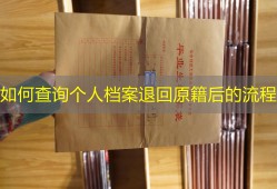 如何查询个人档案退回原籍后的流程