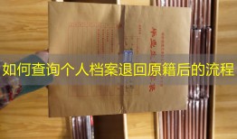 如何查询个人档案退回原籍后的流程
