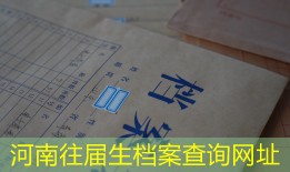 河南往届生档案查询网址