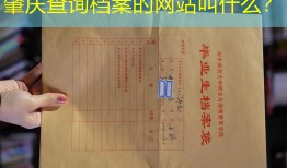 肇庆查询档案的网站叫什么？