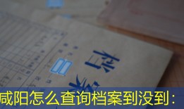 咸阳怎么查询档案到没到：