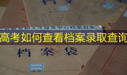 高考如何查看档案录取查询
