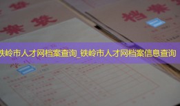 铁岭市人才网档案查询_铁岭市人才网档案信息查询