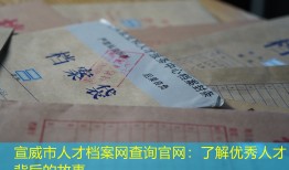 宣威市人才档案网查询官网：了解优秀人才背后的故事
