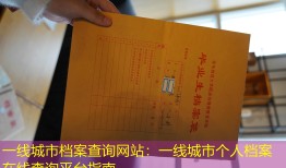 一线城市档案查询网站：一线城市个人档案在线查询平台指南