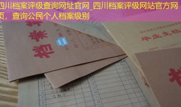 四川档案评级查询网址官网_四川档案评级网站官方网页，查询公民个人档案级别