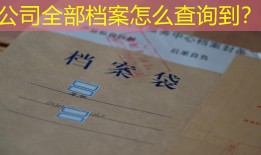 公司全部档案怎么查询到？