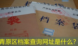 青原区档案查询网址是什么？