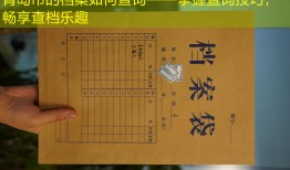 青岛市的档案如何查询——掌握查询技巧，畅享查档乐趣