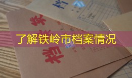 了解铁岭市档案情况