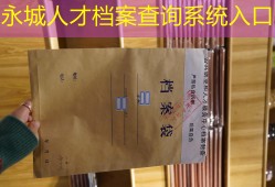 永城人才档案查询系统入口