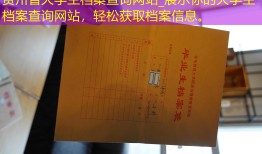 贵州省大学生档案查询网站_展示你的大学生档案查询网站，轻松获取档案信息。