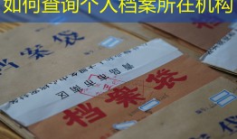 如何查询个人档案所在机构