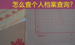 怎么查个人档案查询？