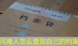 河南人怎么查询自己的档案
