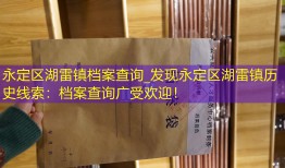 永定区湖雷镇档案查询_发现永定区湖雷镇历史线索：档案查询广受欢迎！