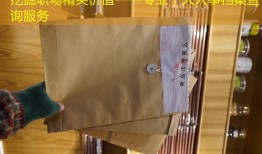 挖掘职场精英价值——专业个人人事档案查询服务