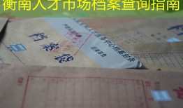 衡南人才市场档案查询指南