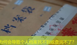 为何会导致个人档案找不到或查询不了？