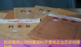 如何查询公司档案资料并查找企业历史档案信息
