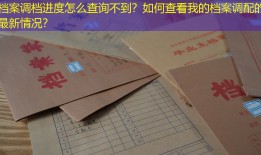 档案调档进度怎么查询不到？如何查看我的档案调配的最新情况？