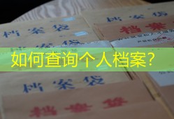 如何查询个人档案？