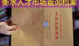 衡水人才市场查询档案