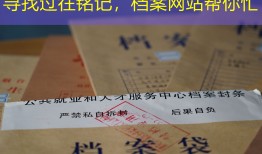 寻找过往铭记，档案网站帮你忙