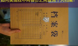 如何实现在不同省份之间查询个人档案？