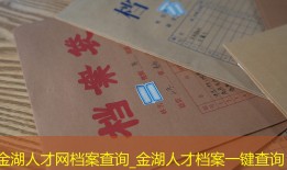 金湖人才网档案查询_金湖人才档案一键查询