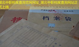 湖北中职档案查询官网网址_湖北中职档案查询网站正式上线