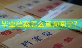毕业档案怎么查询南宁？