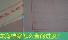 龙海档案怎么查询进度？